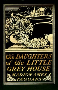 Book cover of "The Daughters of the Little Grey House"