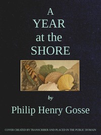 Book cover of "A Year at the Shore"