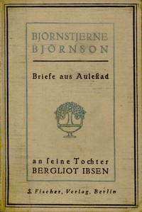 Book cover of "Briefe aus Aulestad an seine Tochter Bergliot Ibsen"