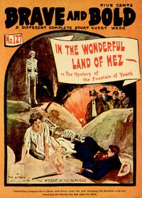 Book cover of "In the Wonderful Land of Hez; or, The Mystery of the Fountain of Youth"