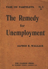Book cover of "The Remedy for Unemployment"