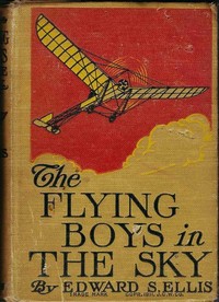 Book cover of "The Flying Boys in the Sky"