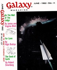 Book cover of "The Lamps of the Angels"