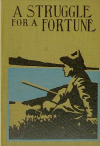 Book cover of "A Struggle for a Fortune"