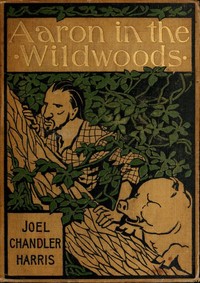Book cover of "Aaron in the Wildwoods"