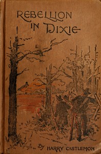 Book cover of "A Rebellion in Dixie"