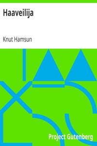 Book cover of "Haaveilija"