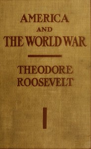 Book cover of "America and the World War"